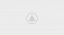 wood-gallery-placeholder-2 wood-gallery-placeholder-2
