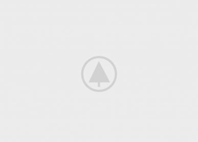 wood-gallery-placeholder-5