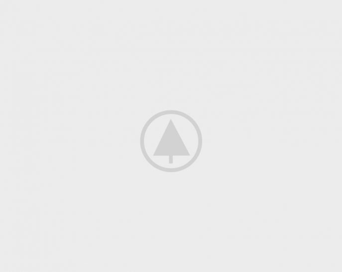 wood-gallery-placeholder-5 wood-gallery-placeholder-5