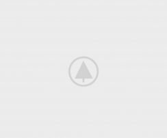 wood-portfolio-placeholder